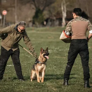 K9DTC SECURITY & TRAINING