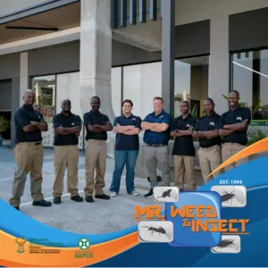 The Guardians of the Lowveld: An Introduction to Mr. Weed & Insect Pest Control Mpumalanga