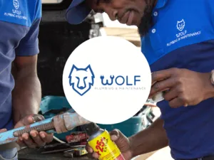 Wolf Plumbing and Electrical